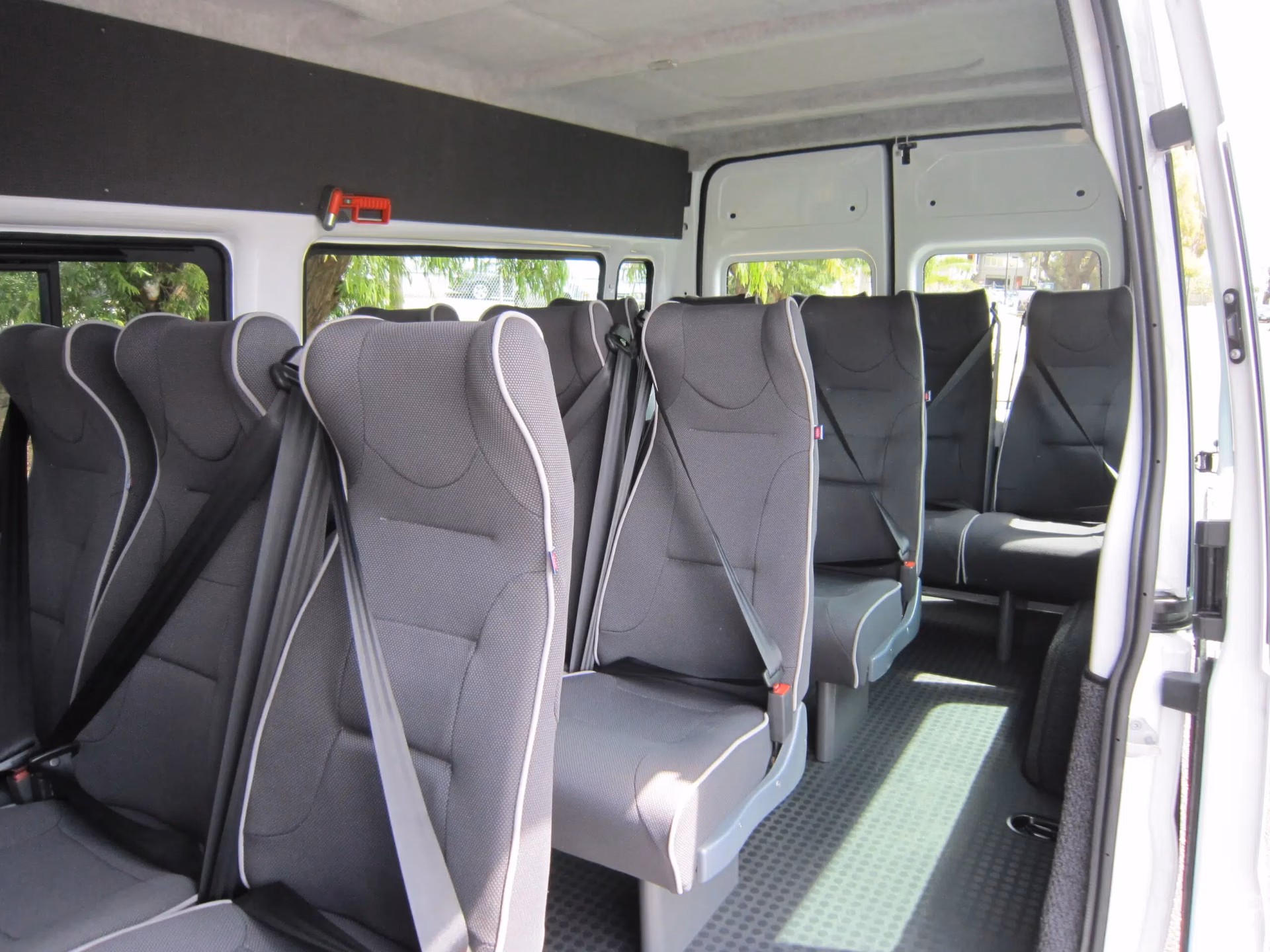 Who is Auckland maxi taxi?