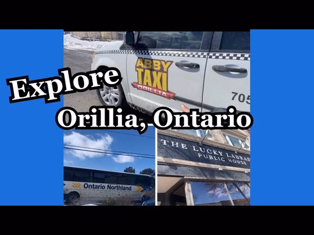 Does Kabbi compare offer airport transfer services?