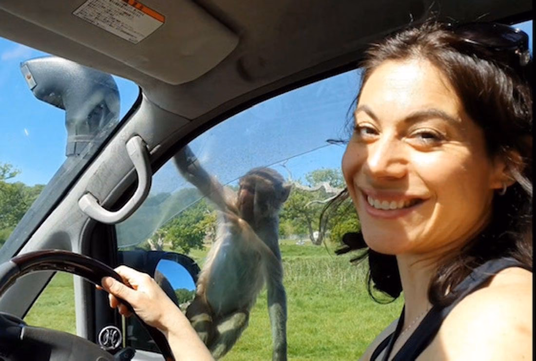 How do I get to Longleat Park?