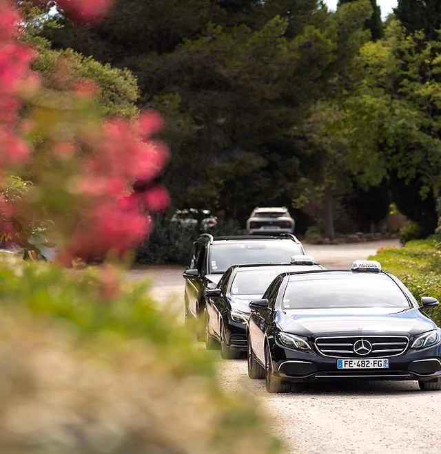 Qu'est-ce que le Salon des taxis ?