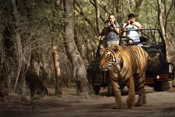 How to book a taxi from Agra to Ranthambore?