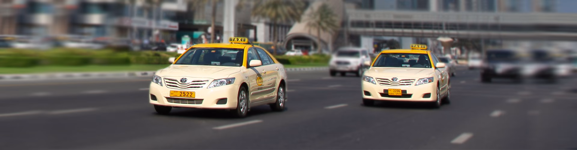 How to get from Al Ain City to Abu Dhabi?