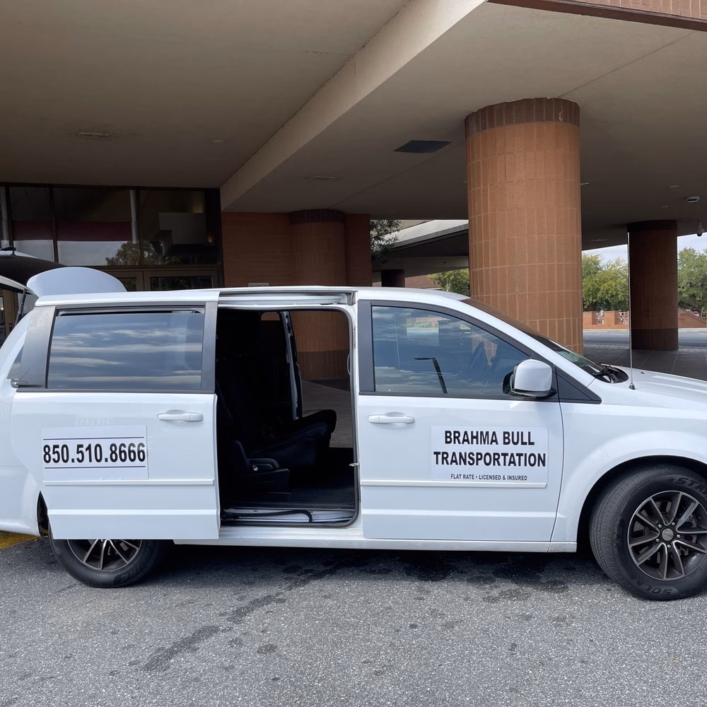 What are people saying about taxis in Albany GA?