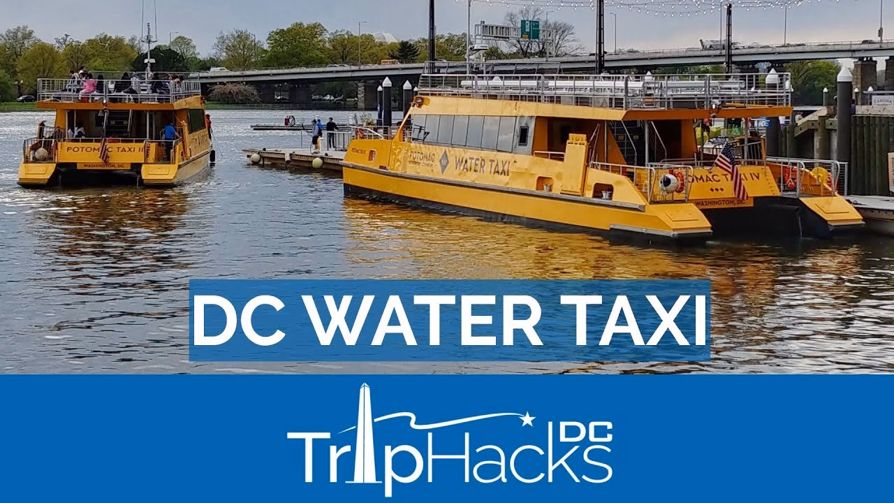 Where can I get a water taxi from Alexandria?