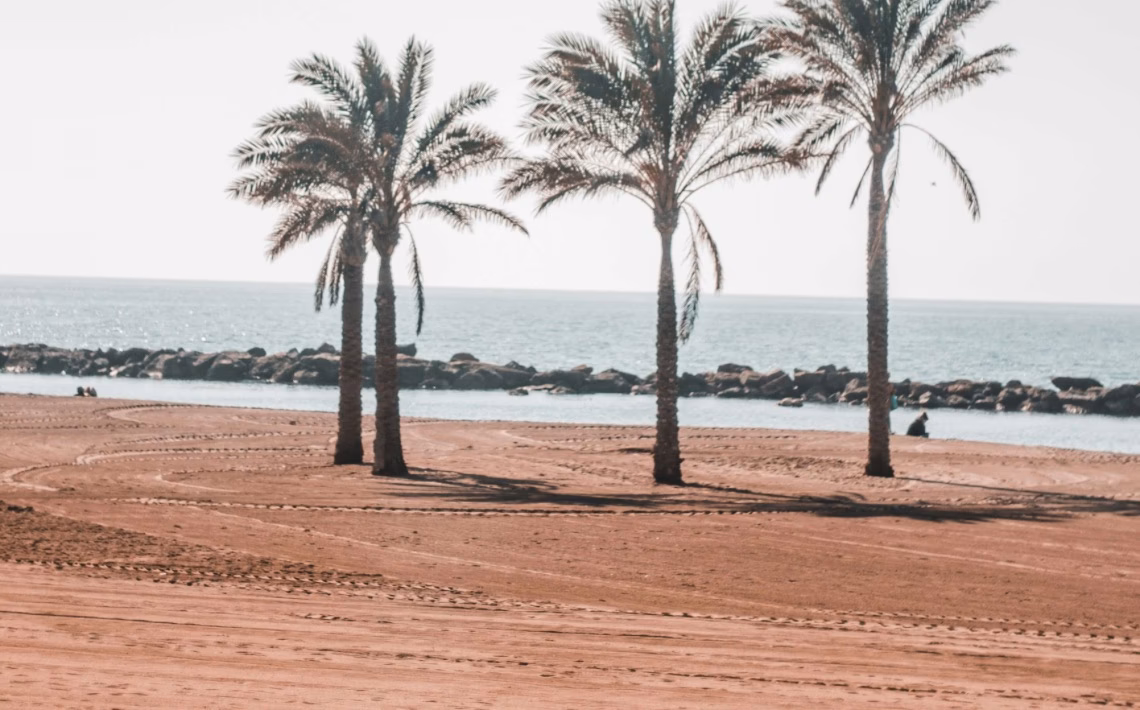 How to get from Almeria to Turre?