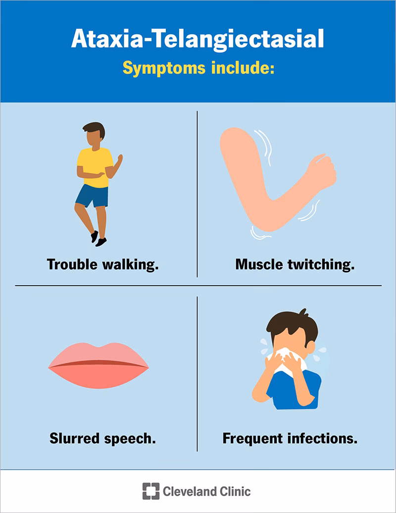 Are alpha activity during coma and physiologic alpha rhythm different?