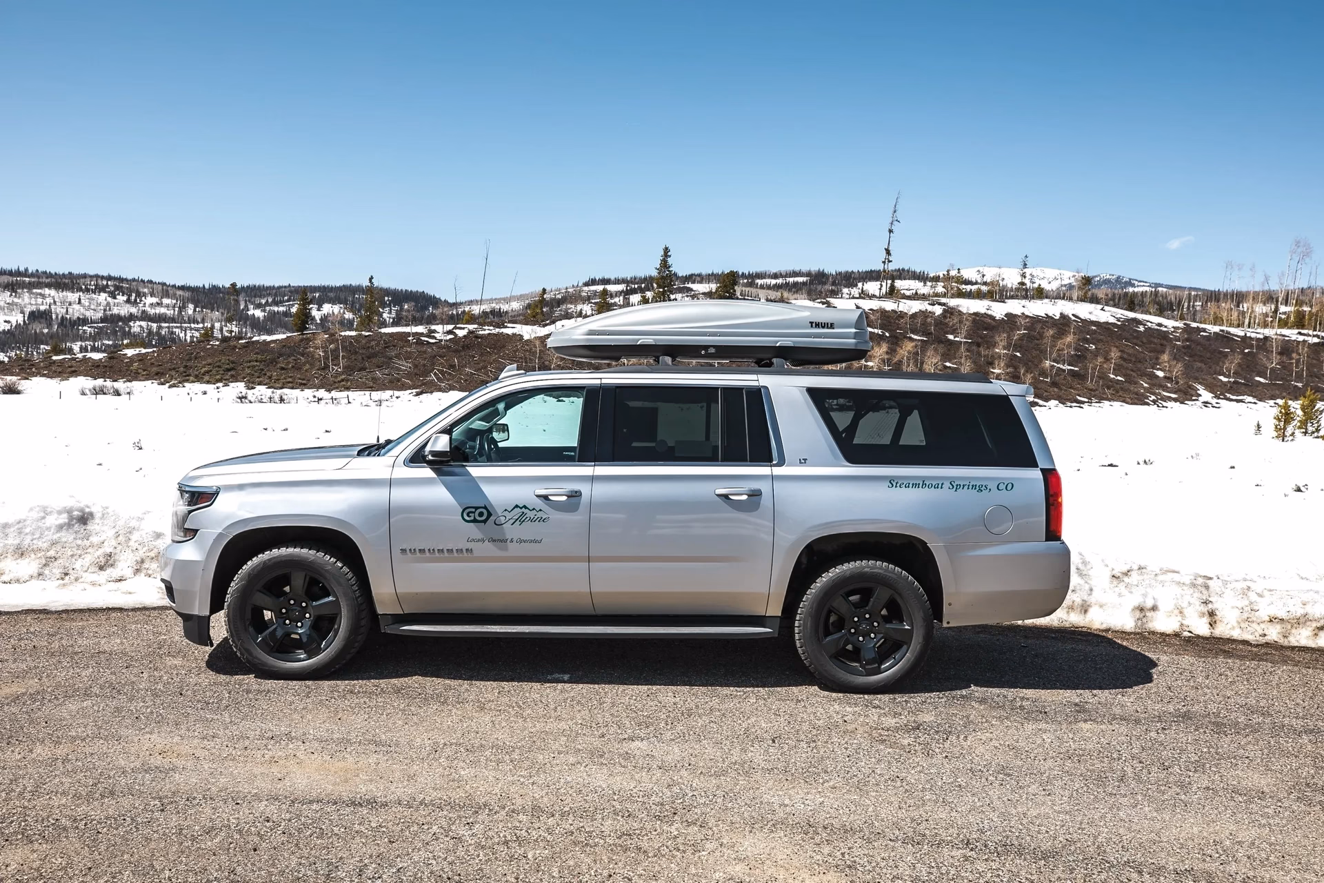 Who are alpine coach tours?