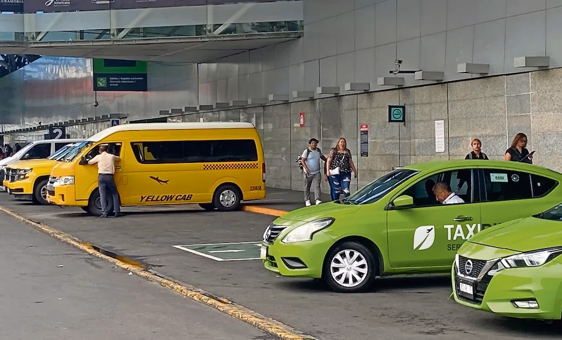 Does Maccy G pets offer a pet taxi service?