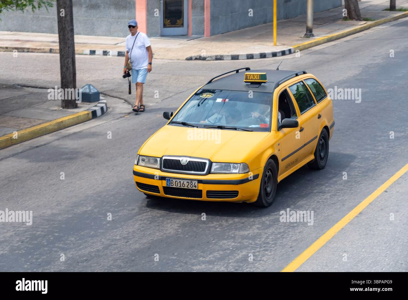 What is the APG arrive and thrive?