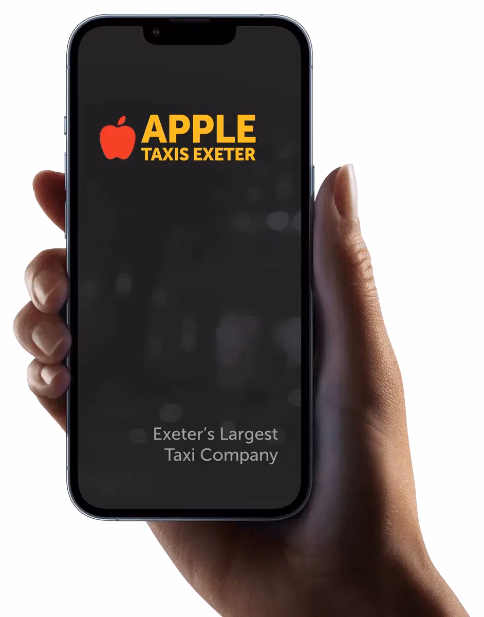 What services does Weston offer?