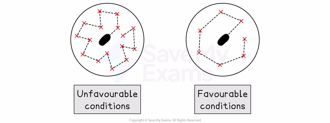 What topics are covered in a a-level Biology?