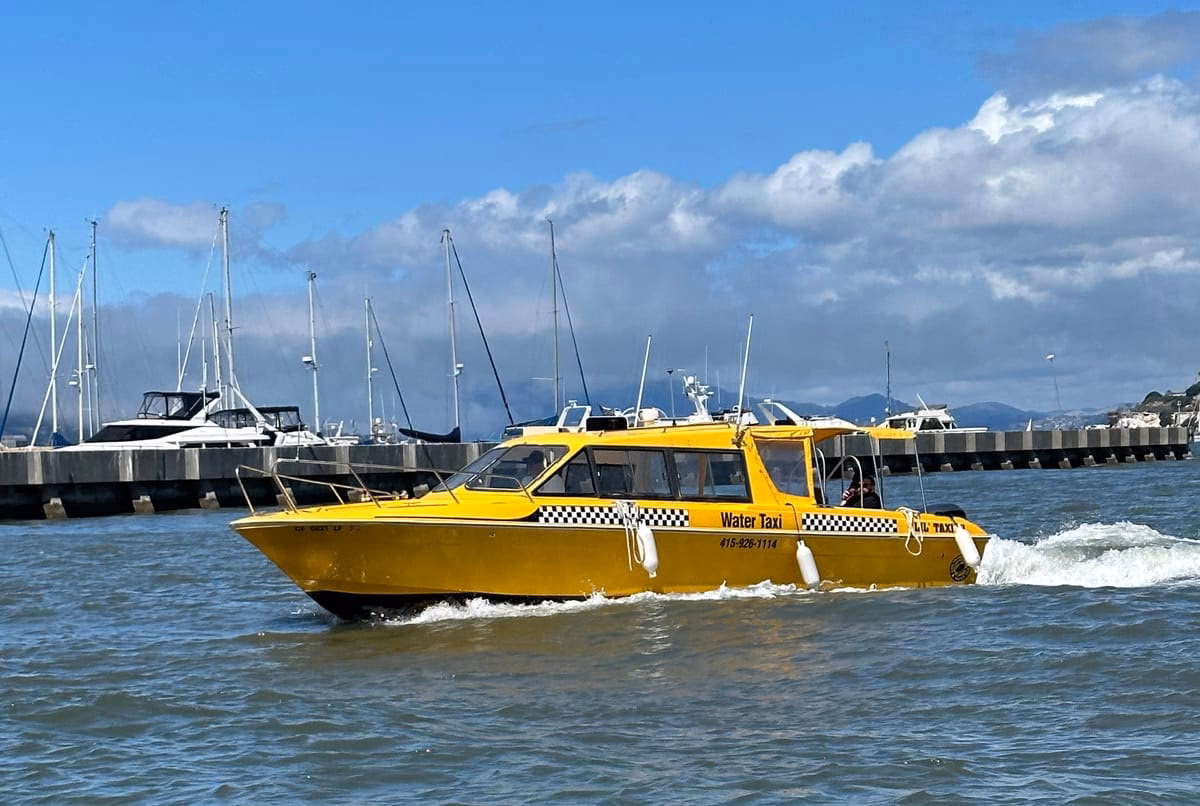 Who are aqua's special advisors?