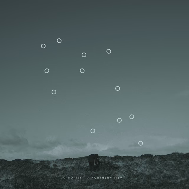 Who are arborist tree care?