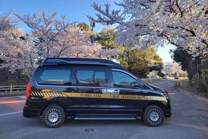 Would you recommend Jeju taxi tour John?