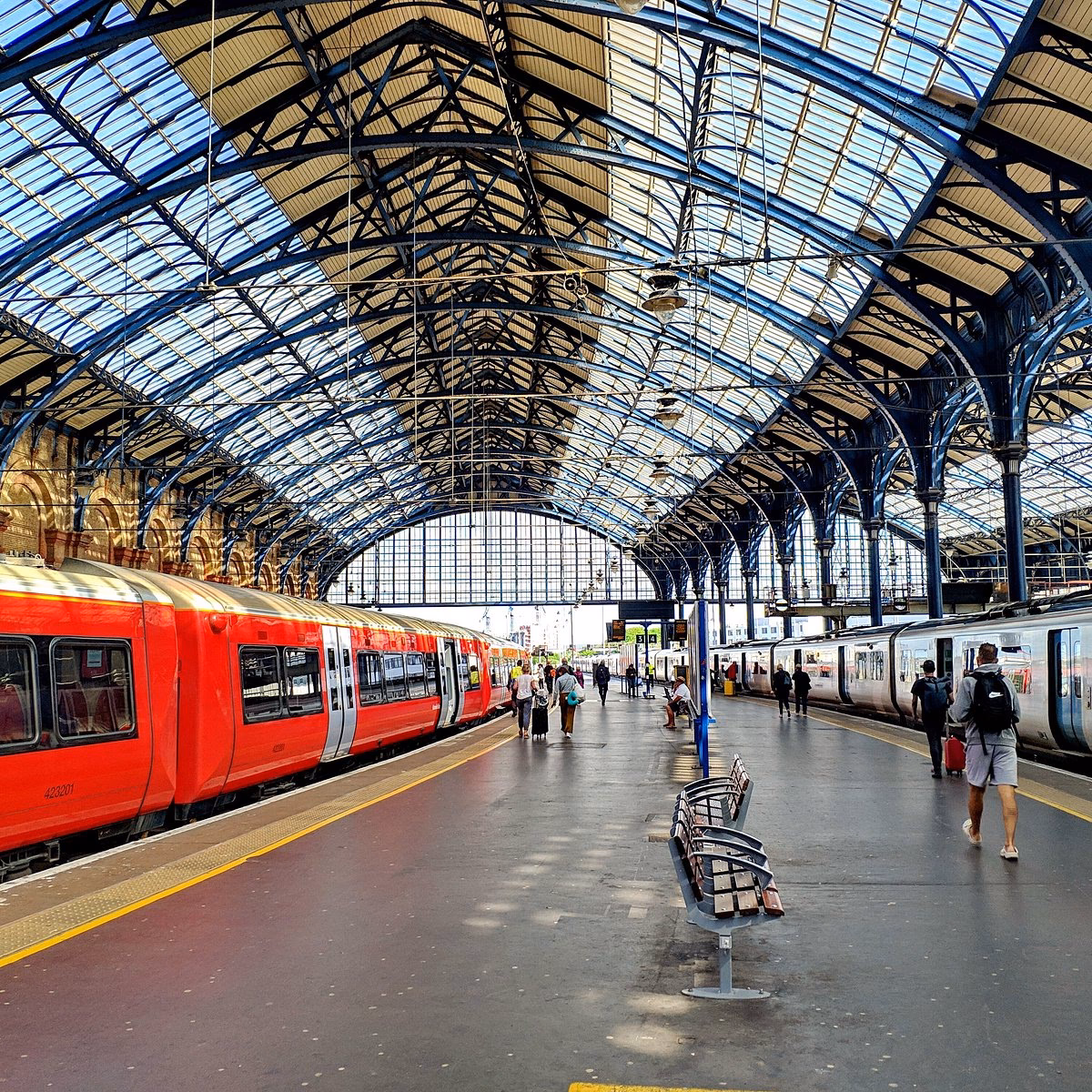 Where can I take my pet to the vet in Brighton?