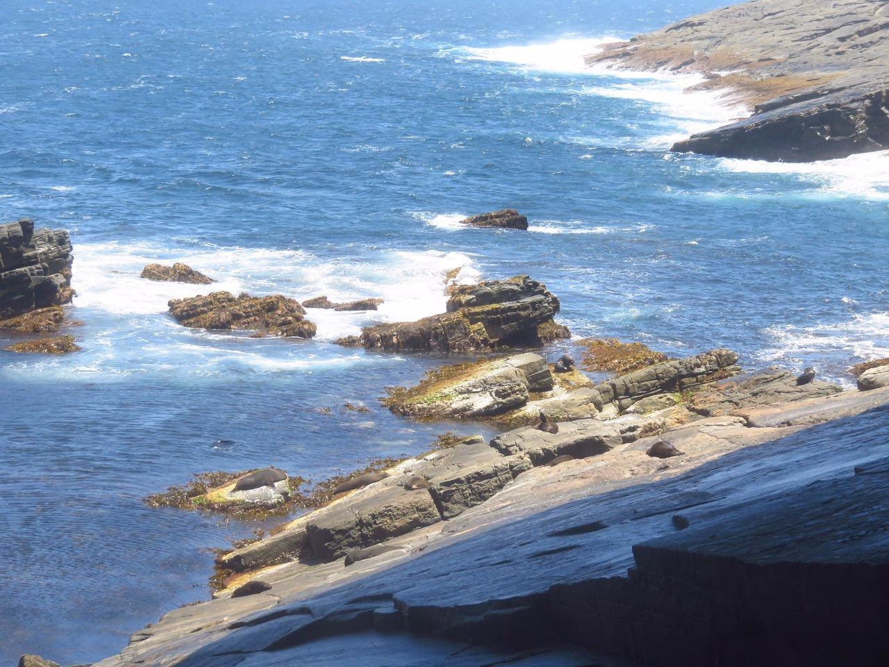 Can you take a car to Kangaroo Island?