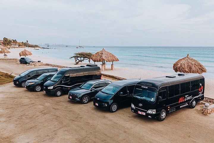 Who are the best tours & transfers in Aruba?