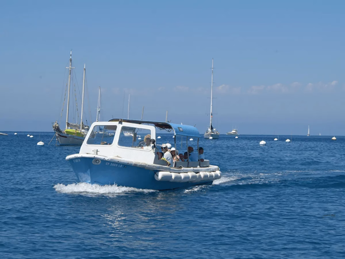 How much does a river cruise cost at Avalon Waterways?