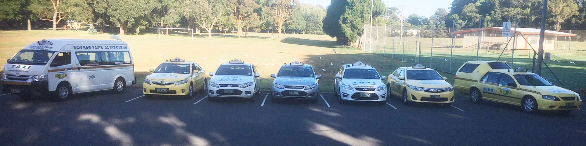 How much does a Moe taxi cost?