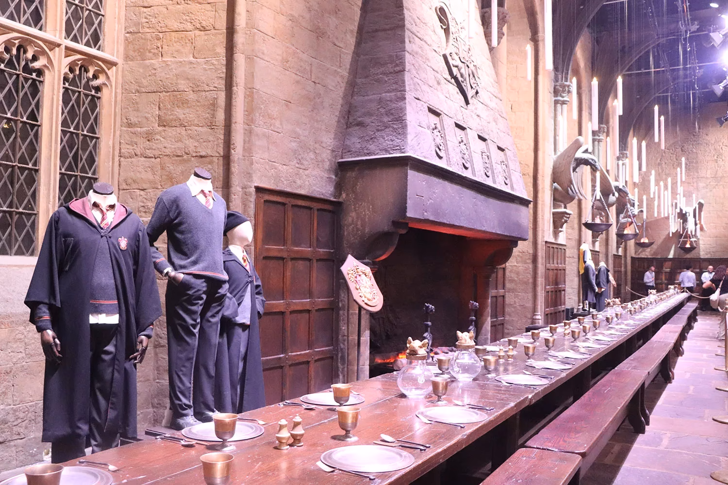 Who starred in Harry Potter?