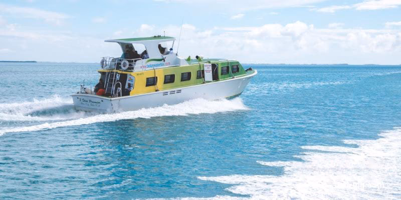 How much does it cost to fly from Belize City to Placencia?