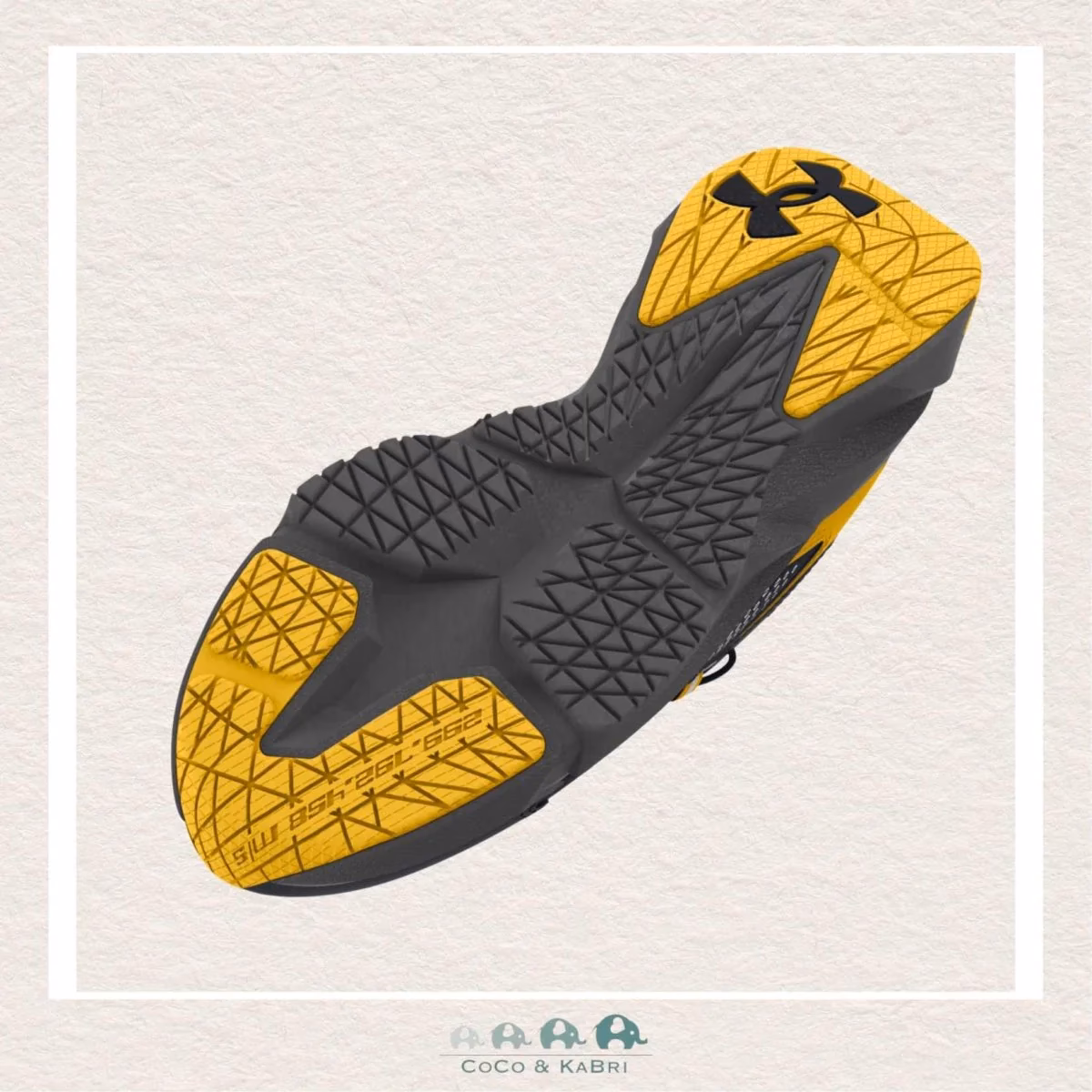 What makes BGS students successful?