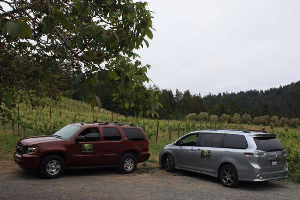 Who is Bill's minibus & Coach Hire?