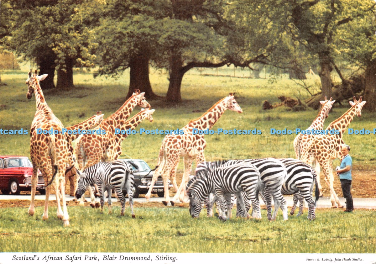 What is the Camphill Blair Drummond Bike Safari?