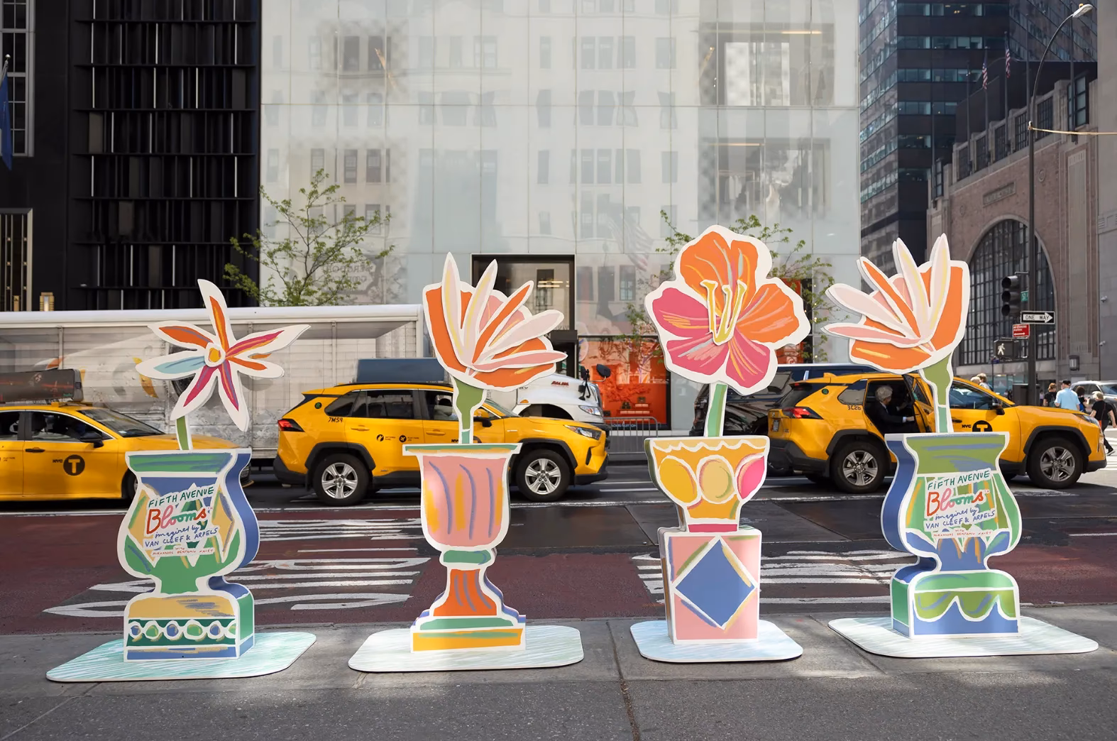 Who is bloom & wild?