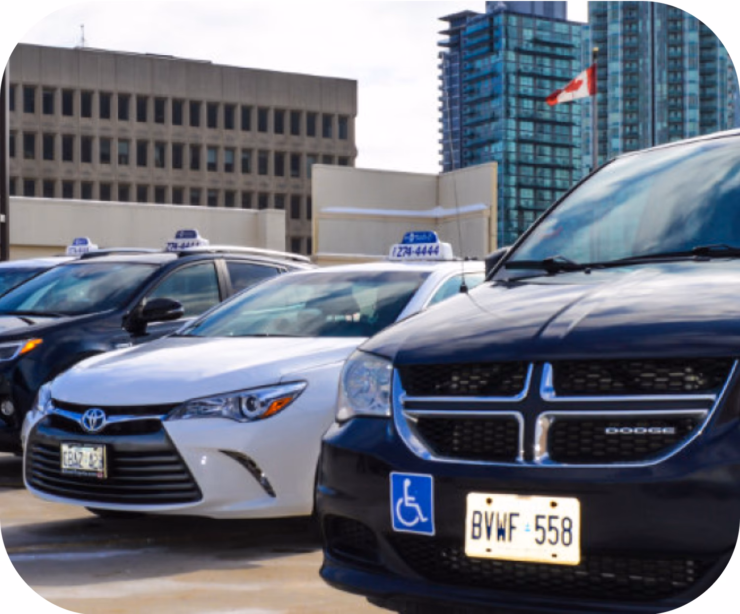 What is the largest taxi service in Mississauga?