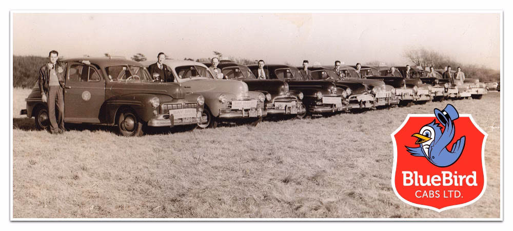 Where can I get a job at Midland Bluebird?