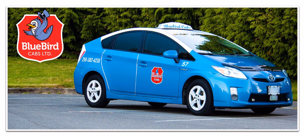 What services does Bluebird cabs offer?