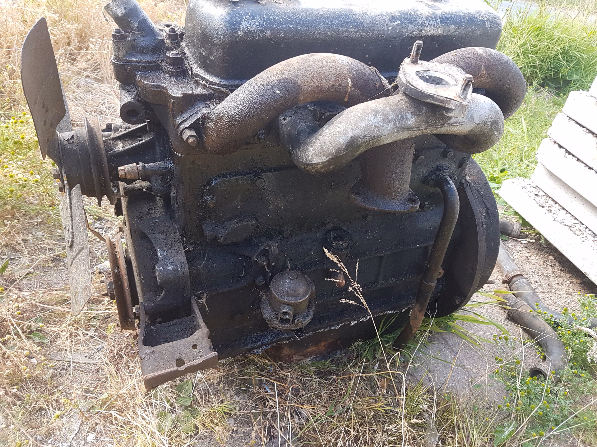 Which BMC engine has a Commodore tag?