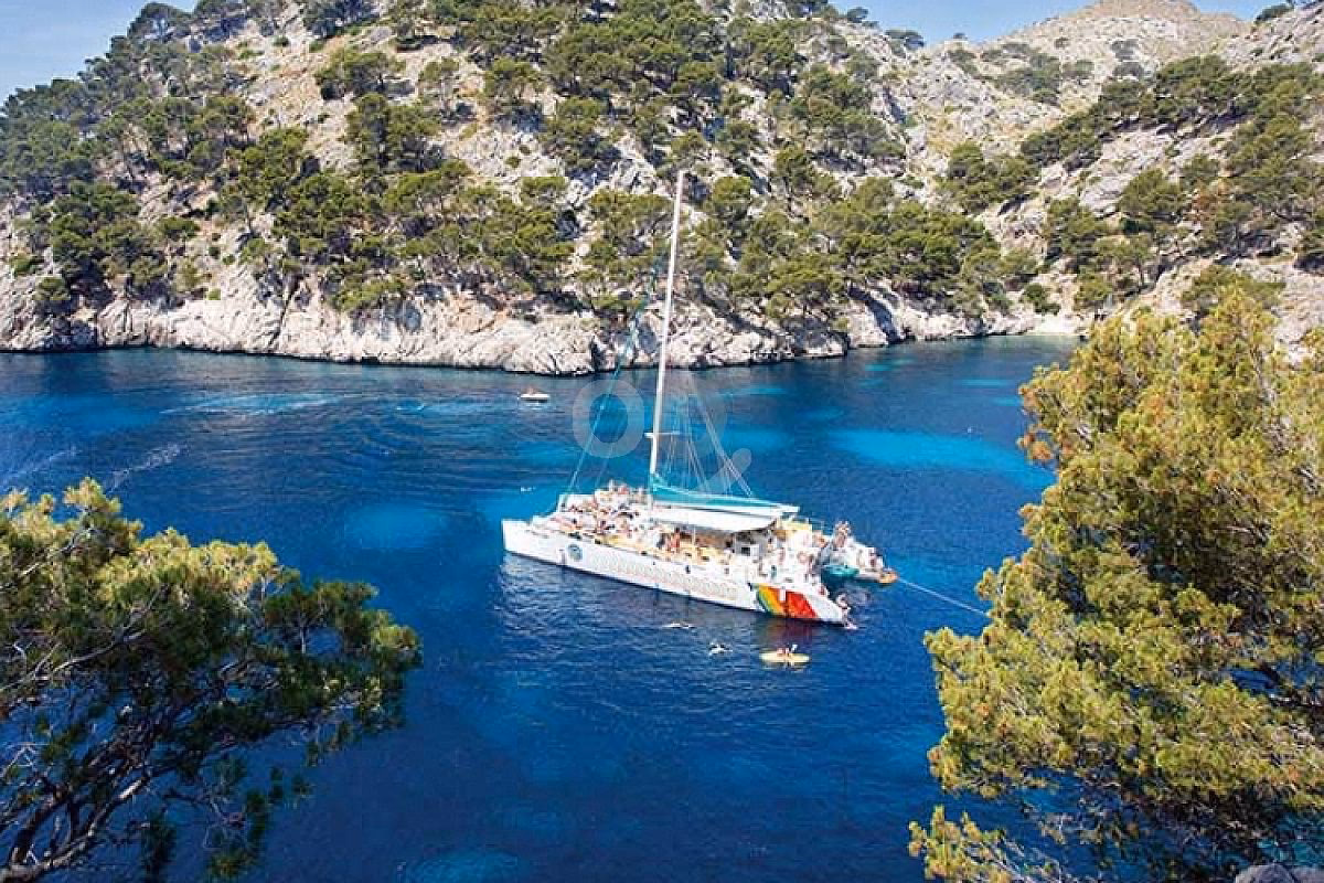 What to do in Alcudia?
