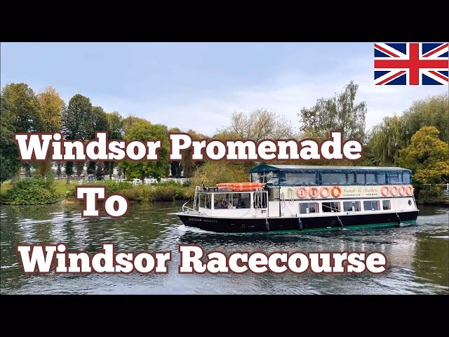 Does Windsor have a river taxi service?