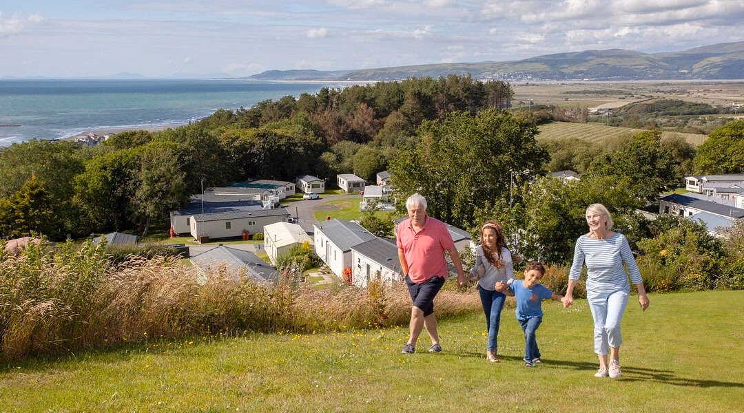 When was Borth Station built?