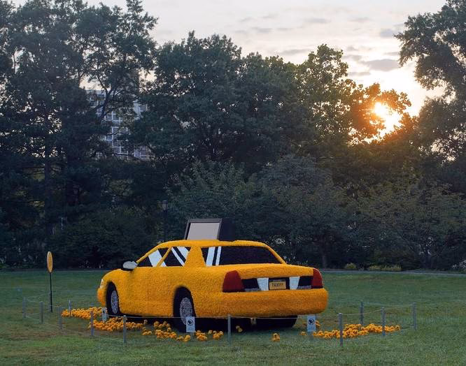 Where is Belfast Botanic station?