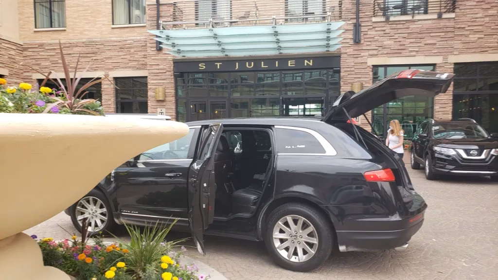 Who is 007 Airport Limo?