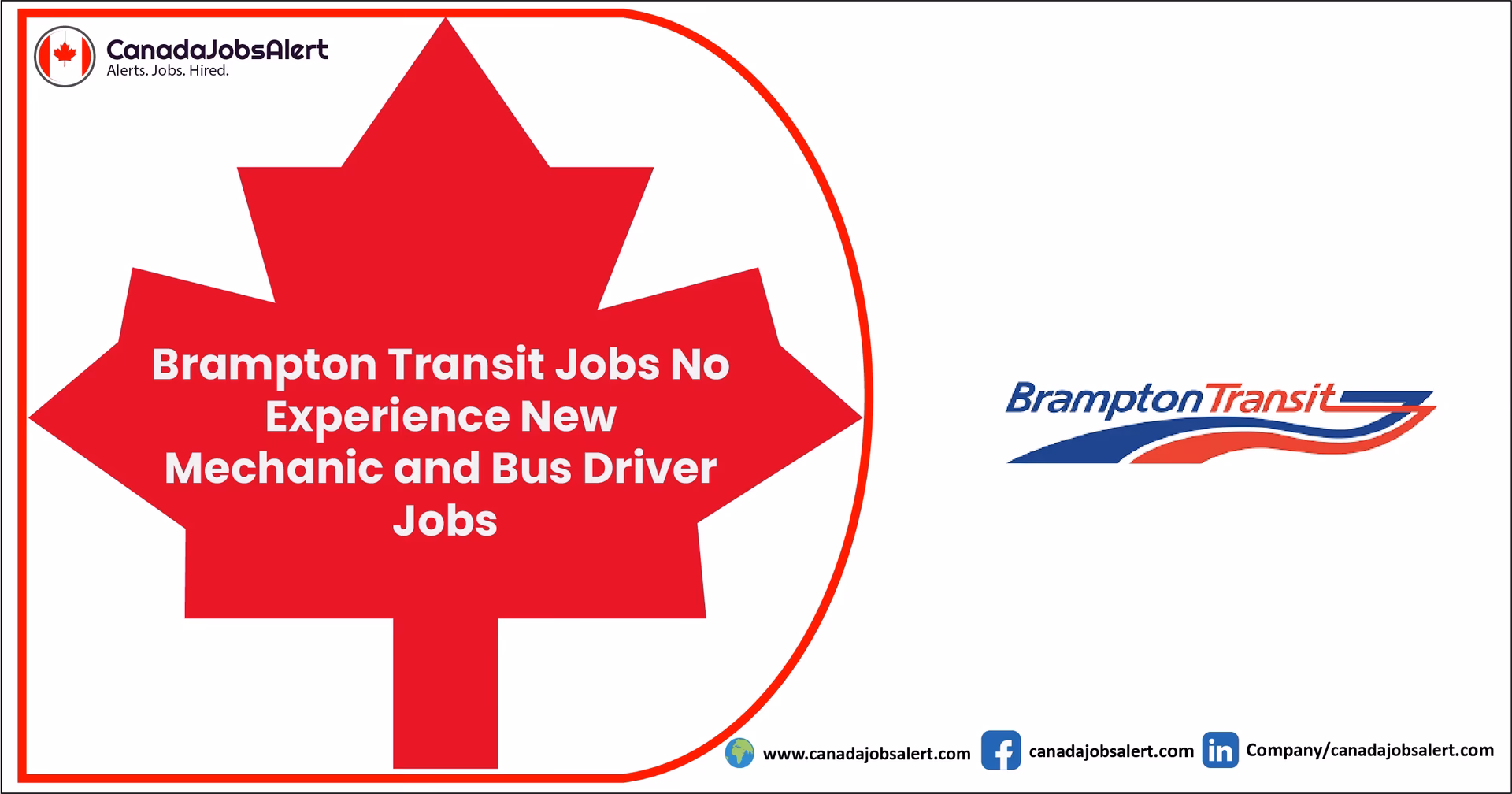 How many hours a week do taxi drivers work in Brampton?