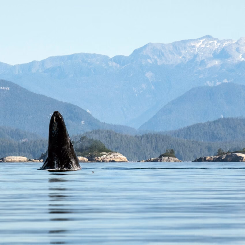 How much does it cost to park at Broughton Archipelago?