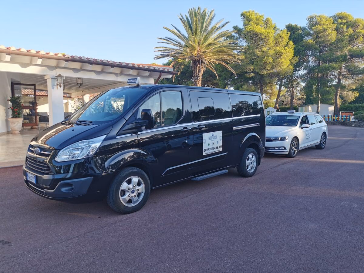 Who is the best taxi service in Budoni?