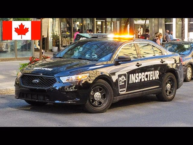 Qu'est-ce que Taxi MonTaxi offre comme service de taxi?