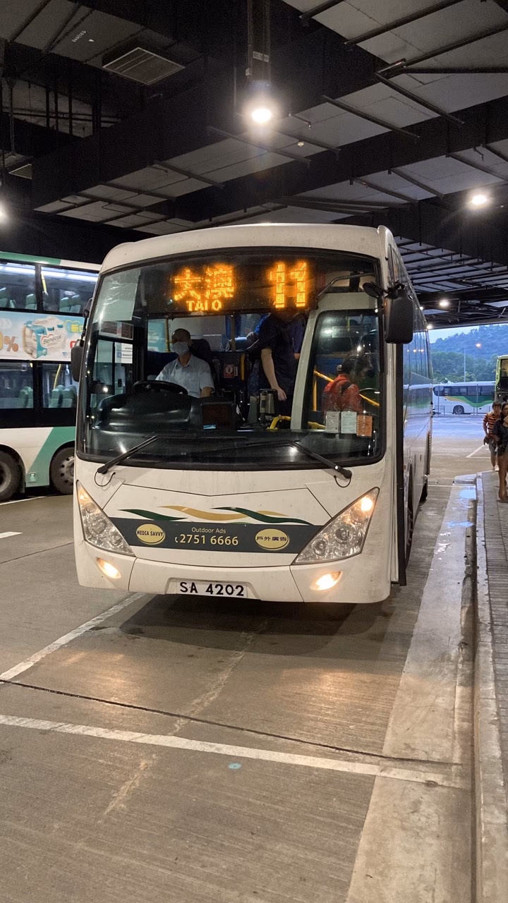 How to get from Ngong Ping to Tai O?