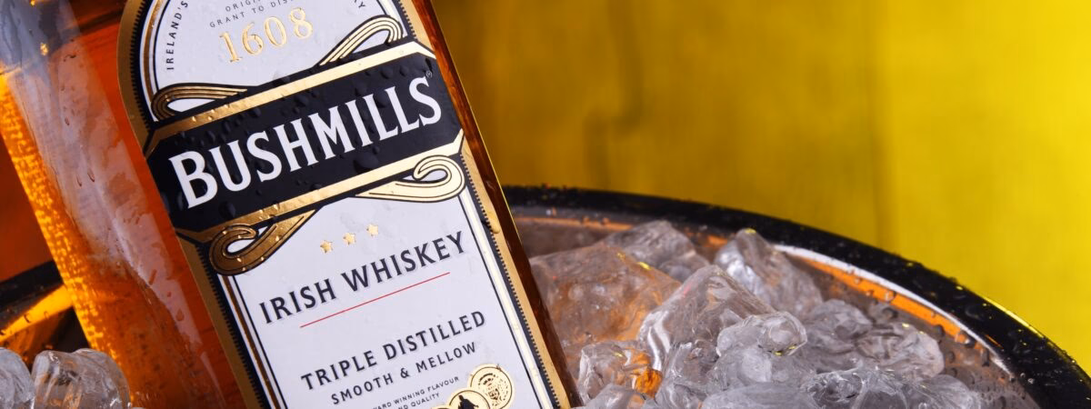 What companies run services from Coleraine to Bushmills?