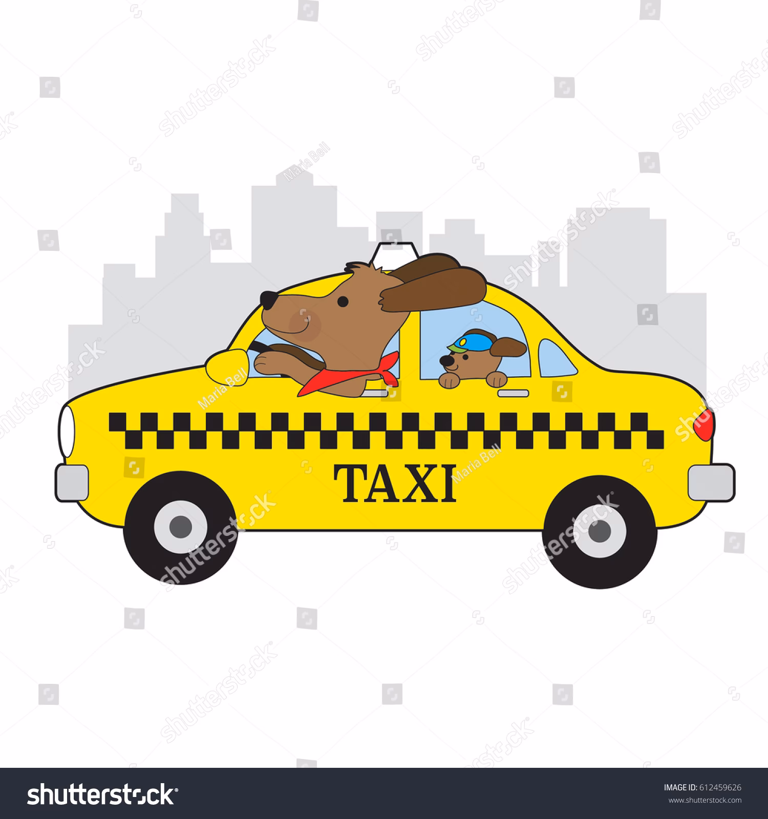 Quais formas de pagamento a Taxi Dog Pet transporte de animais aceita?