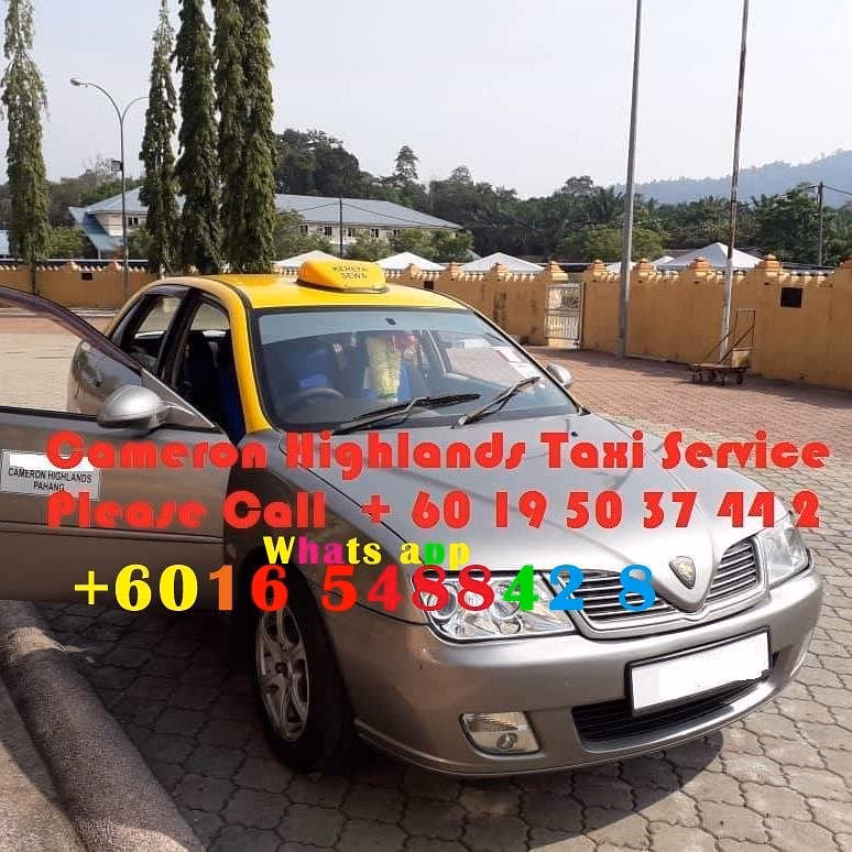 Should I take a private tour in Cameron Highlands?