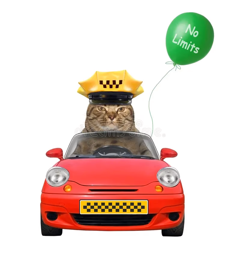 What vehicles can you drive with a cat C licence?