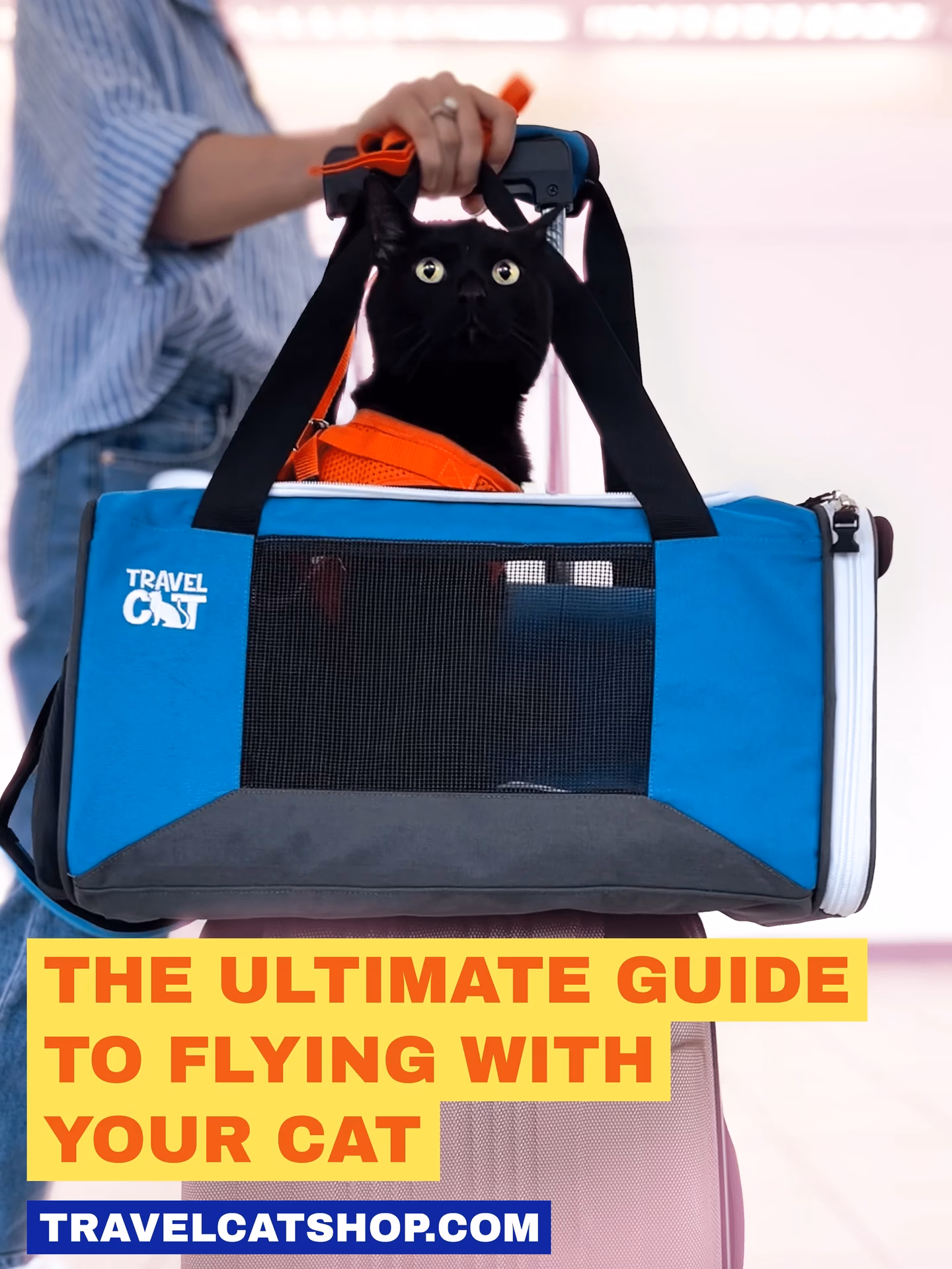 Are taxis pet friendly?