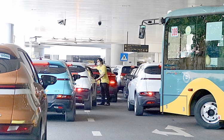 Can taxi drivers drive in bus lanes?