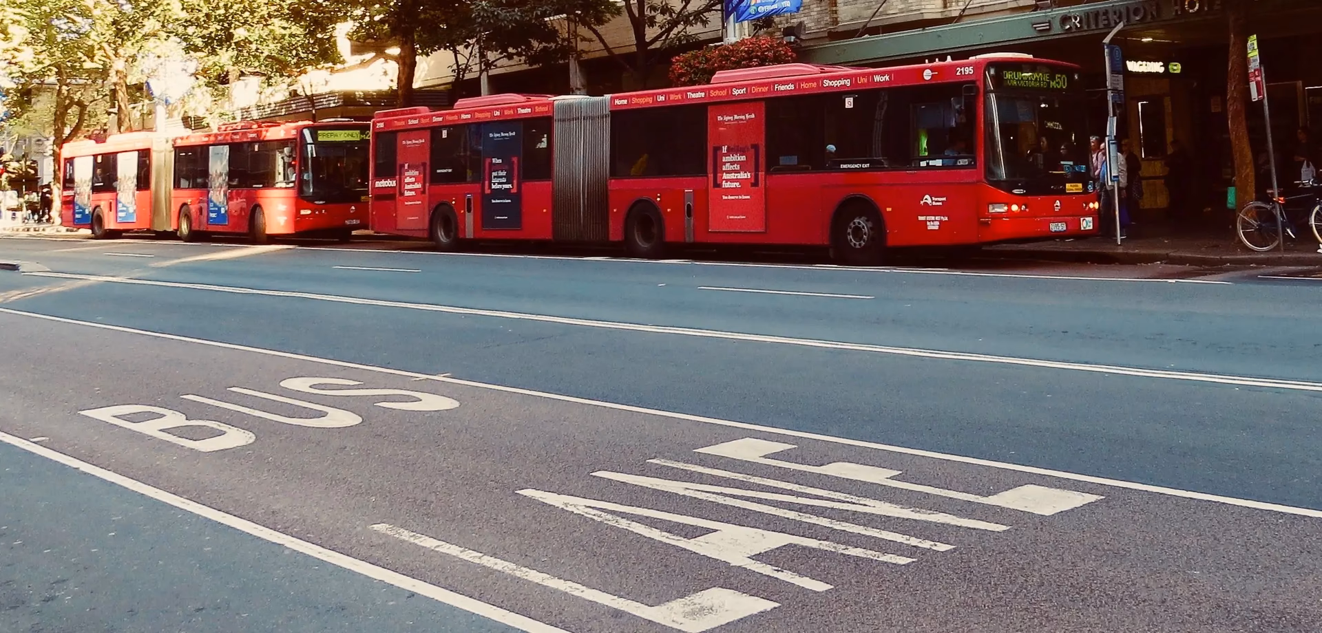 Can you ride a car in a bus lane?